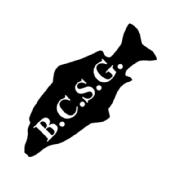 (c) Bcsg.co.uk