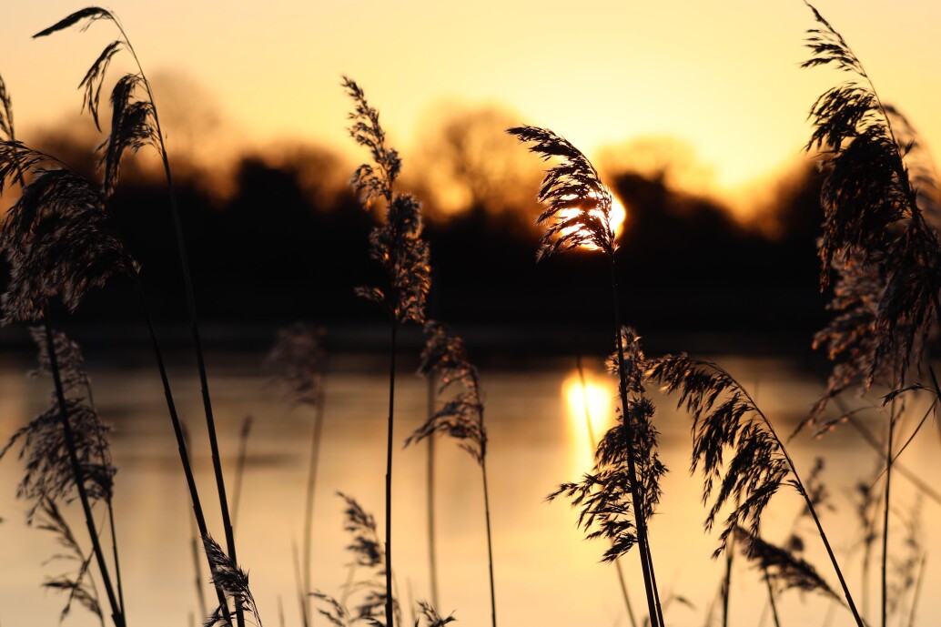 Untitled image